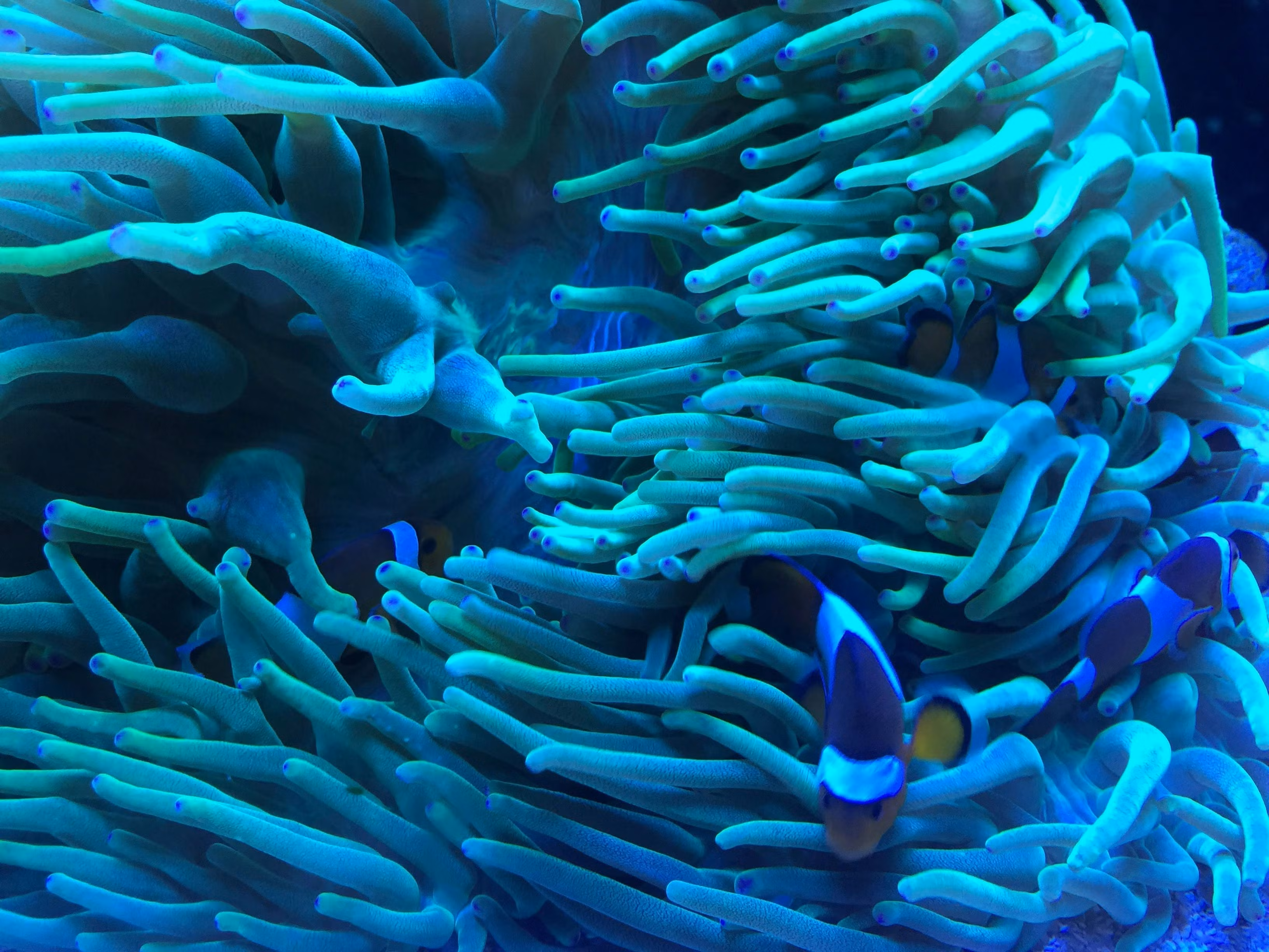 City trip malin : 1 journée, 5 façons de mieux profiter